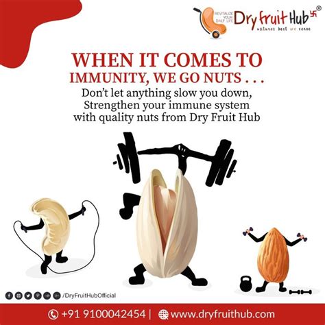 Dry Fruit Hub Delivering The Highest Quality Dry Fruits Seeds Nuts