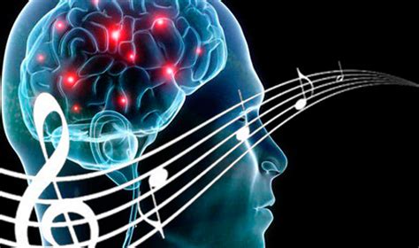 La Música La Inteligencia Las Emociones Y El Cerebro Conape