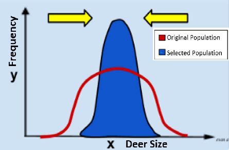 Describing How Selective Pressures on Populations Change an Environment ...