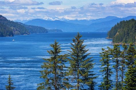 Premium Photo Vancouver Island