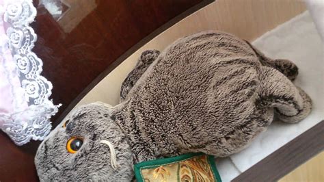 Домик для басика 1 часть:) - YouTube