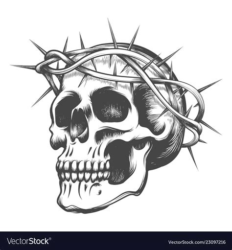 Skull With Crown Of Thorns Archaeologydirectory