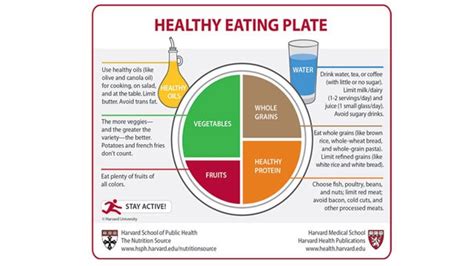 Harvard Researchers Offer Alternative to USDA's MyPlate - ABC News