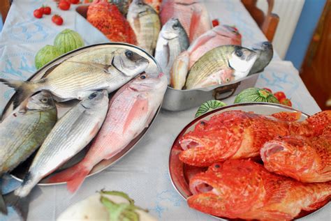 Fishing Skopelos Official Website Of Skopelos Hoteliers Fishing