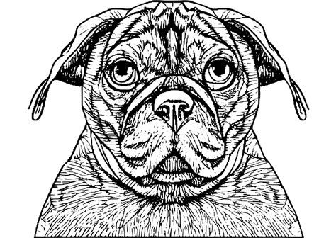 Puggle Digital Graphic · Creative Fabrica
