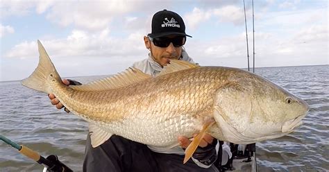 catch  redfish  fall top  tips