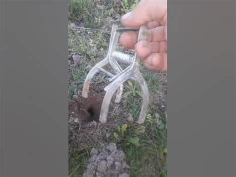 лучший капкан на крота🤪 - YouTube