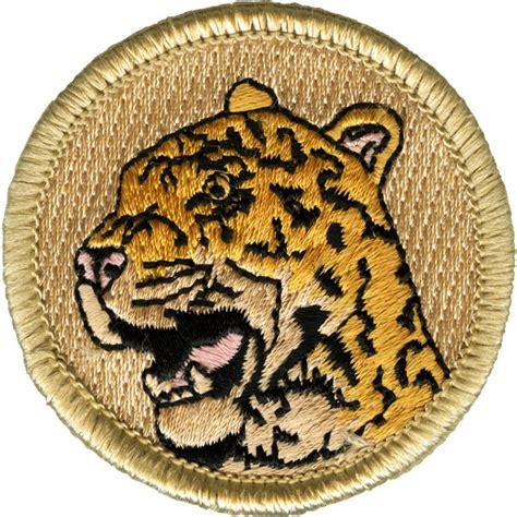 Jaguar Bsa Troop 101