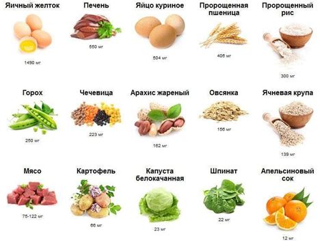 Холин (витамин B4): инструкция по применению