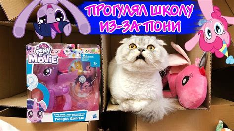 МИЛАШКИ ПОНИ ПРОТИВ КОТЁНКА СЛАДУНА! ПРЯТКИ В НАШЕМ ДОМЕ И РАСПАКОВКА ...