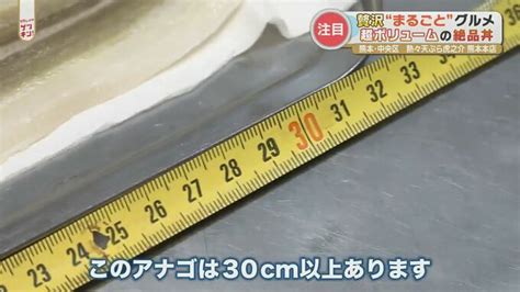 秋の味覚のフルーツもあの魚も 素材をまるごと使ったグルメを大調査 TBS NEWS DIG 3ページ