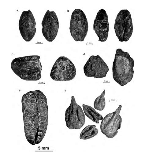 Почему в древности пиво пьянило намного сильнее?
