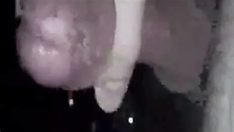 Buenos Dias Oso Free Gay Porn Video E XHamster