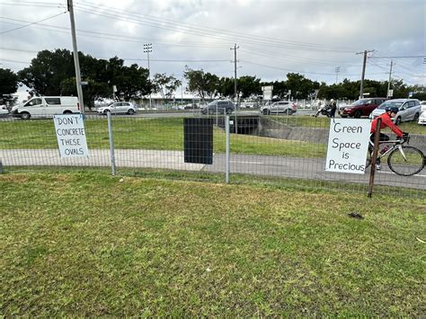 Community Divided Over Proposed Basketball Stadium on New Lambton Ovals