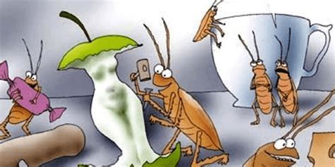 Демотиваторы тараканы (45 фото)