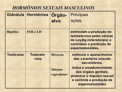 Quais Os Hormônios Masculinos - Quais São Os Hormônios Masculinos E Femininos E Suas Funções? – TFLMXN