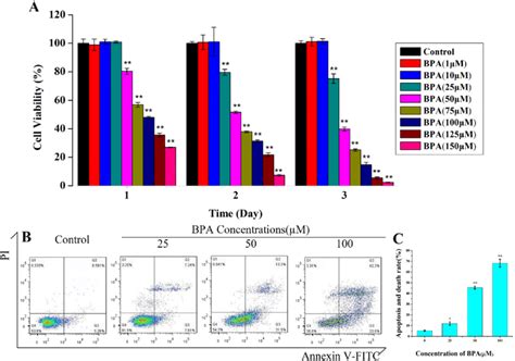 BPA Exposure Decreased PC12 Cells Viability And Induced PC12 Cell