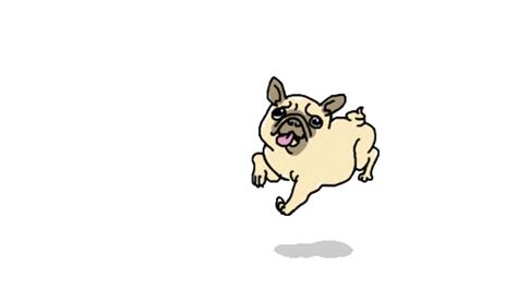 Animated Puppies  Wiffle