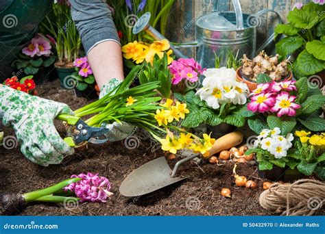 Het Tuinieren Stock Foto Image Of Botanisch Tuinieren