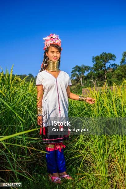 Wanita Dari Leher Panjang Suku Karen Melintasi Sawah Foto Stok Unduh