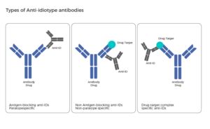 Development Of Anti Drug Antibody Ada Based Assays Evidentic Gmbh