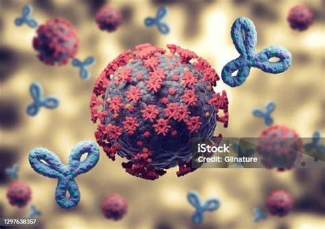 코로나바이러스 및 코비드19에 대한 면역 반응 백신에 의해 활성화된 항체 인체 내부의 바이러스 공격 돌연성 급성호흡기증후군에