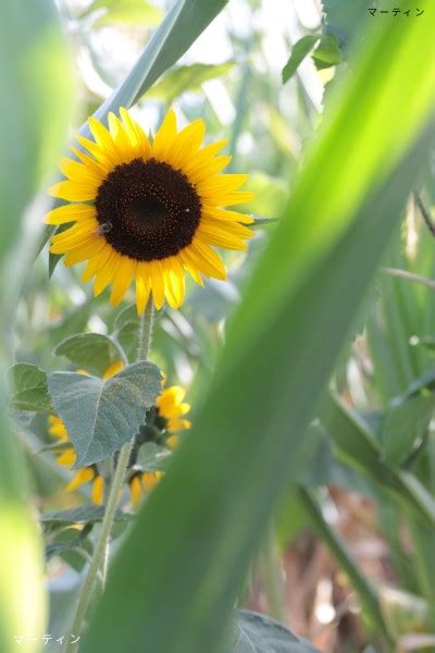 Post Nudes Are Not Porn Tumblr Tumbex