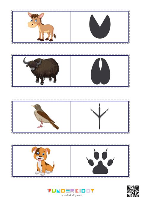 Animal Footprint Worksheet