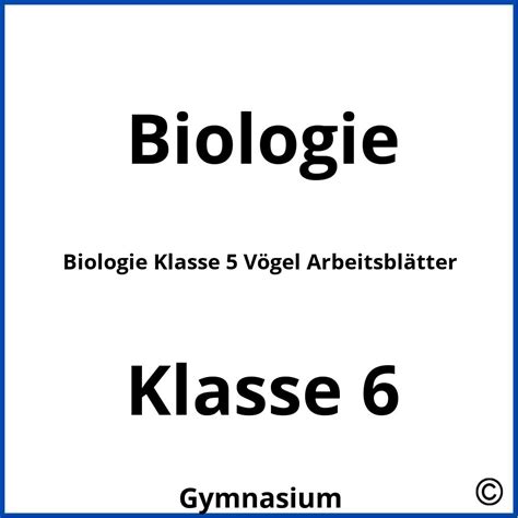 Biologie Klasse V Gel Arbeitsbl Tter