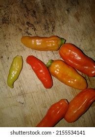 Hot Spicy Cayenne Pepper Stock Photo 2155534141 Shutterstock