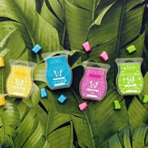 Alicia Walton Independent Scentsy Consultant