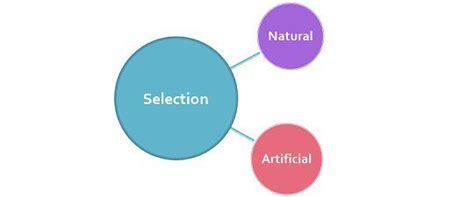 Difference Between Natural and Artificial Selection (with Comparison ...