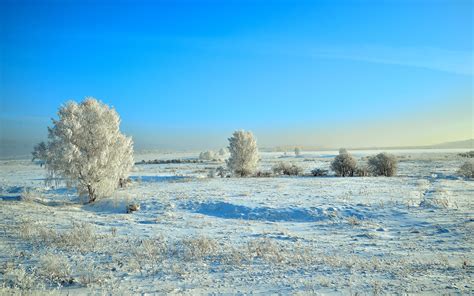 Fondos de Pantalla 1920x1200 Rusia Invierno Cielo Nieve árboles