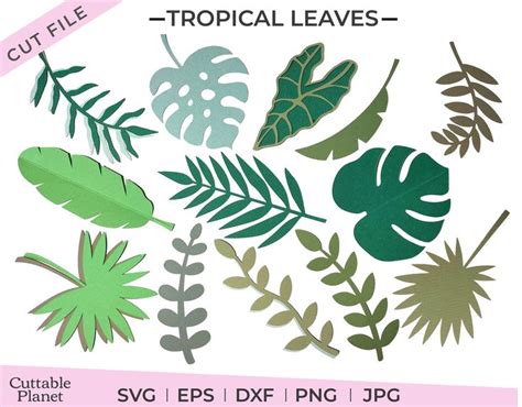 Tropical Leaves Svg, Eps, Dxf, Png, Jpg, Jungle Leafs Svg, Tropical ...