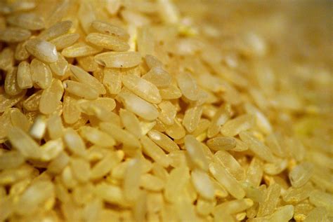Rice Free Stock Photo - Public Domain Pictures