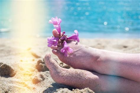Bare Feet On The Beach Yellow Sand An Exotic Flower On The Toes Of The Feet Hot Sun Blue Sea