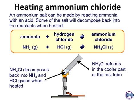 Chemistry Equilibrium Flashcards Quizlet