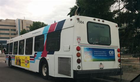 1995 New Flyer D40lf The Toad Express