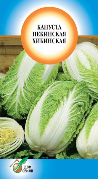 Капуста, Салат Дом семян Капуста пекинская Хибинская - купить по ...