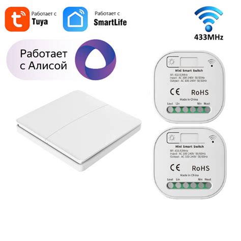 НОВЫЙ Комплект умное реле 2шт для Яндекс Алисы от Tuya с WIFI ...