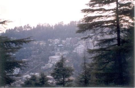 Mcleodganj Winter Destination In Kangra Himachal Pradesh Travel