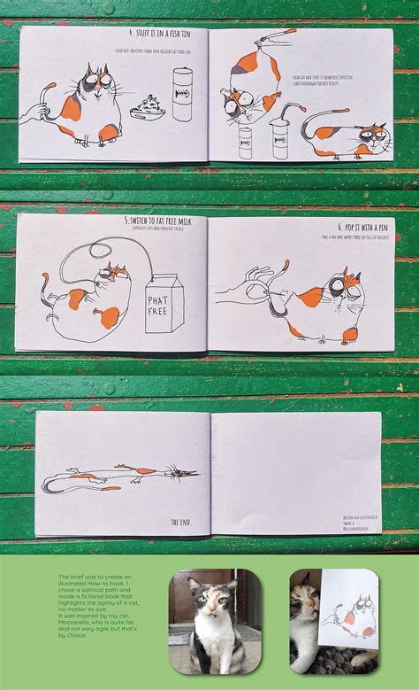 How to make your cat lose weight on Behance