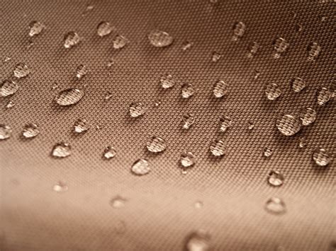 iStock-478514533.jpg?v=1679355777