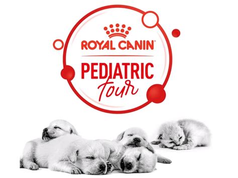 El Pediatric Tour De Royal Canin Recorre Cinco Ciudades Argentinas Mi
