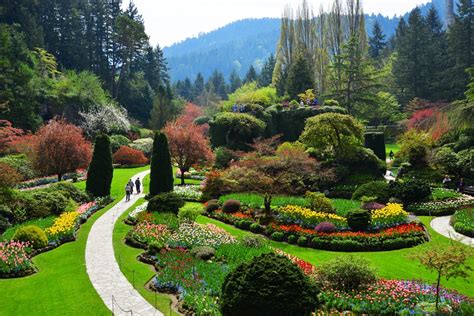 Spring Garden Insights - The Butchart Gardens