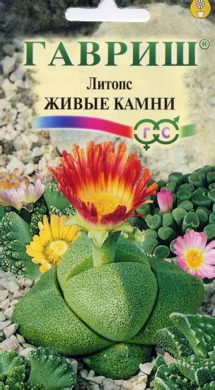 Семена с доставкой. Купить семена в интернет-магазине Казахстана