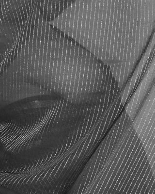 Saree Porn Pics PICTOA