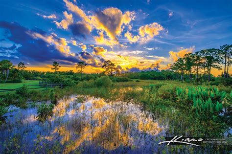 Acreage Pines Natural Area Hdr Photography By Captain Kimo
