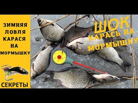 Ловля карася зимой на мормышку. Снасть, мормышки и техника ловли ...
