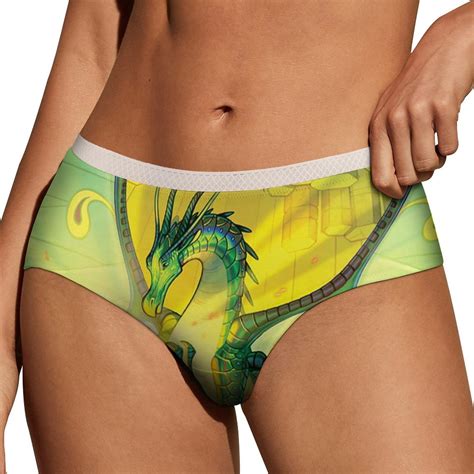 Wings Of Fire Novel Women S Lace Brief Breathable Sexy Elastic Bikini Hipster Panties Lady